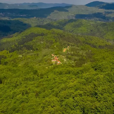 아파트 House Pecisce *