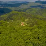 Apartman House Pecisce *